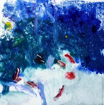 Taking the Plunge, Cozumel