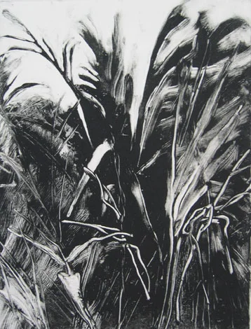Palm, St. Barths