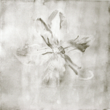 White Star
