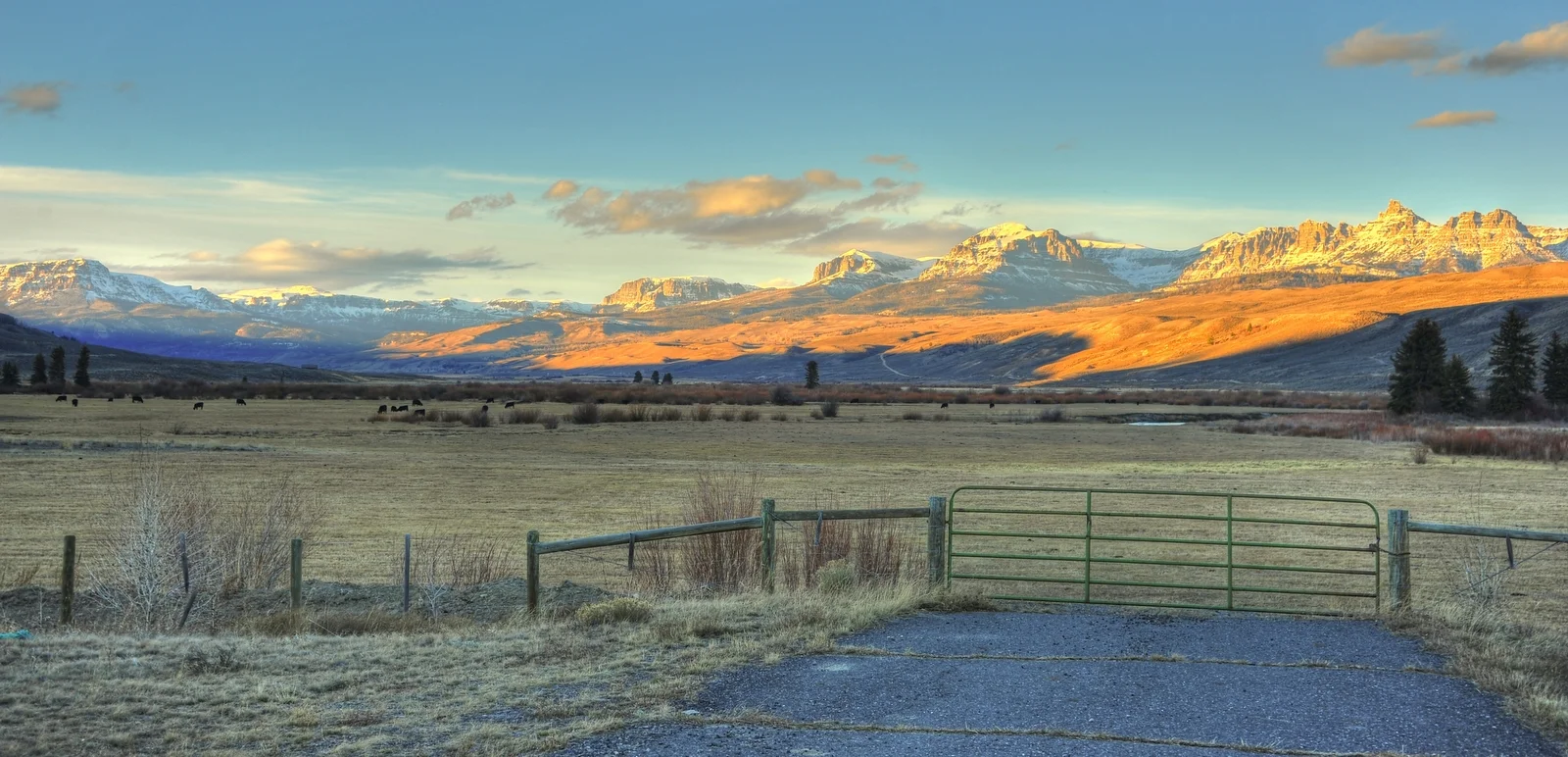 DSC_4979_80_tonemapped.jpg