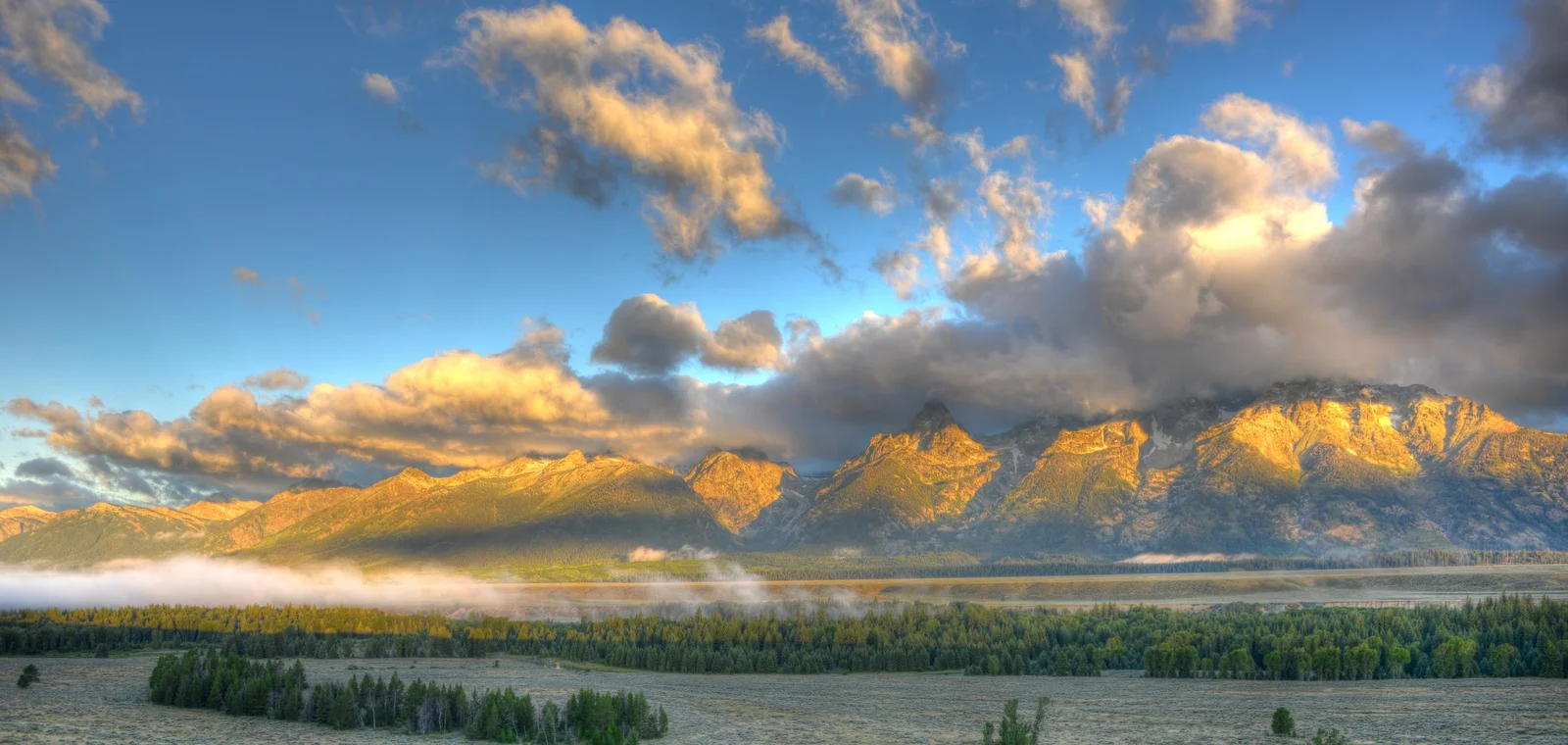 DSC_4841_2_3_4_5_tonemapped.jpg