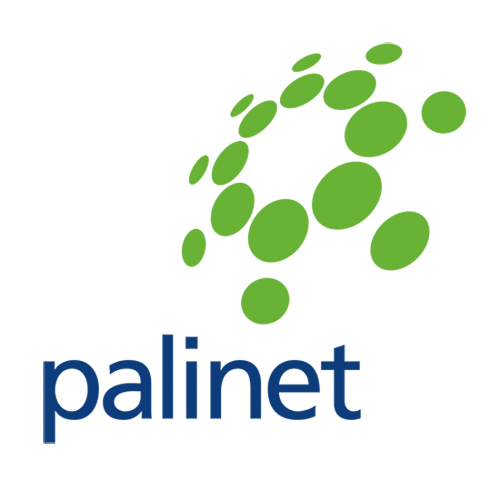 Palinet Logo