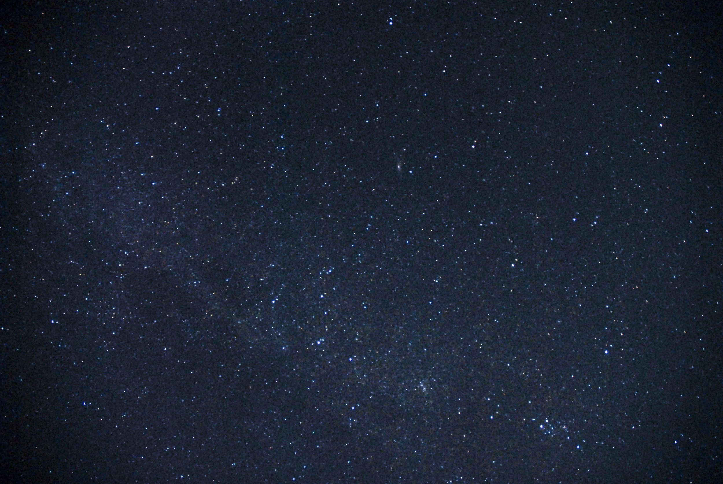 DSC_0780edit.jpg