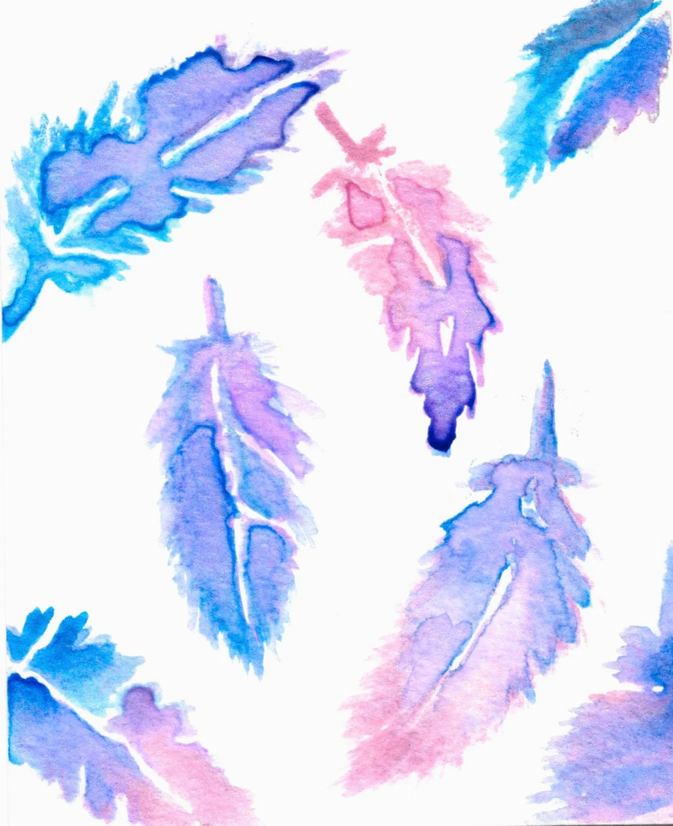 feathers.jpeg