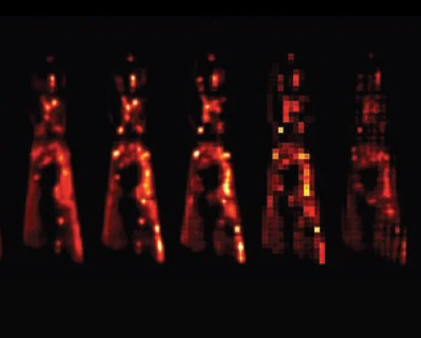 Lotus  Big Data for Neural Imaging
