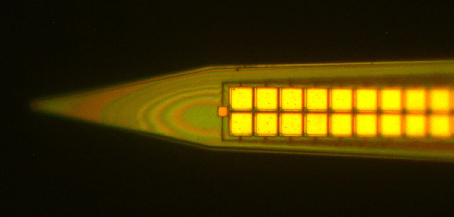 willow_header_oneprobe.jpg