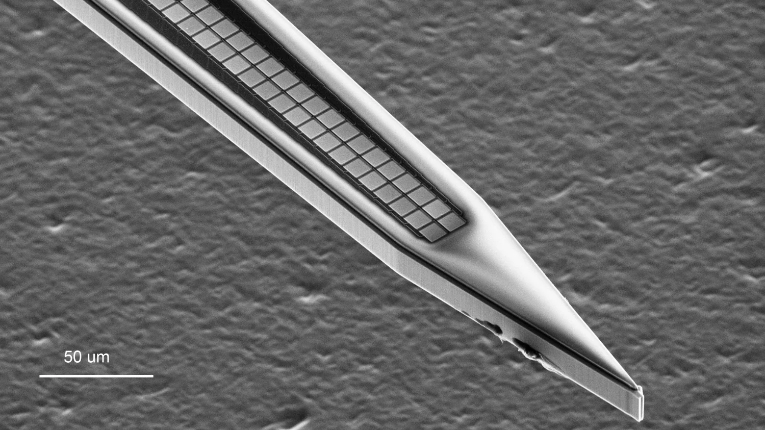 Close-packed recording sites on a silicon shank, for spatially oversampled neural recording. SEM of the tip of a recording shank with two columns of 100 rows each. The close-packed recording sites of 9 × 9 μm have a pitch of 11 μm, and are visible as the light squares. The shank itself has a width of ∼50 μm in the region shown, and is 15-μm thick