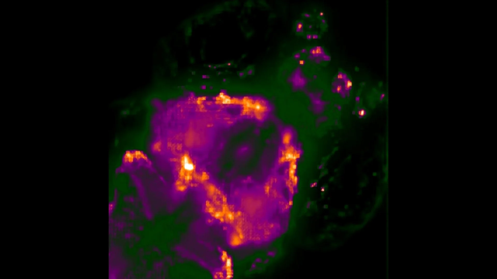 Lotus high resolution light field microscopy leaflabs