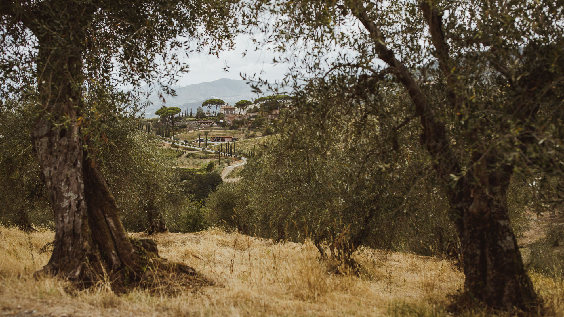 tenuta_san_pietro_wedding_photographer-11.jpg