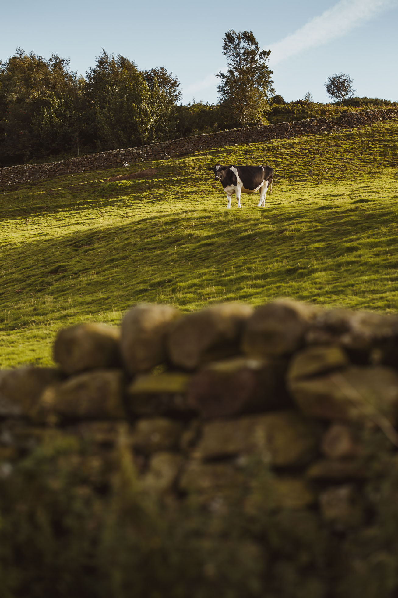 danby_castle_wedding_photographer-103.jpg