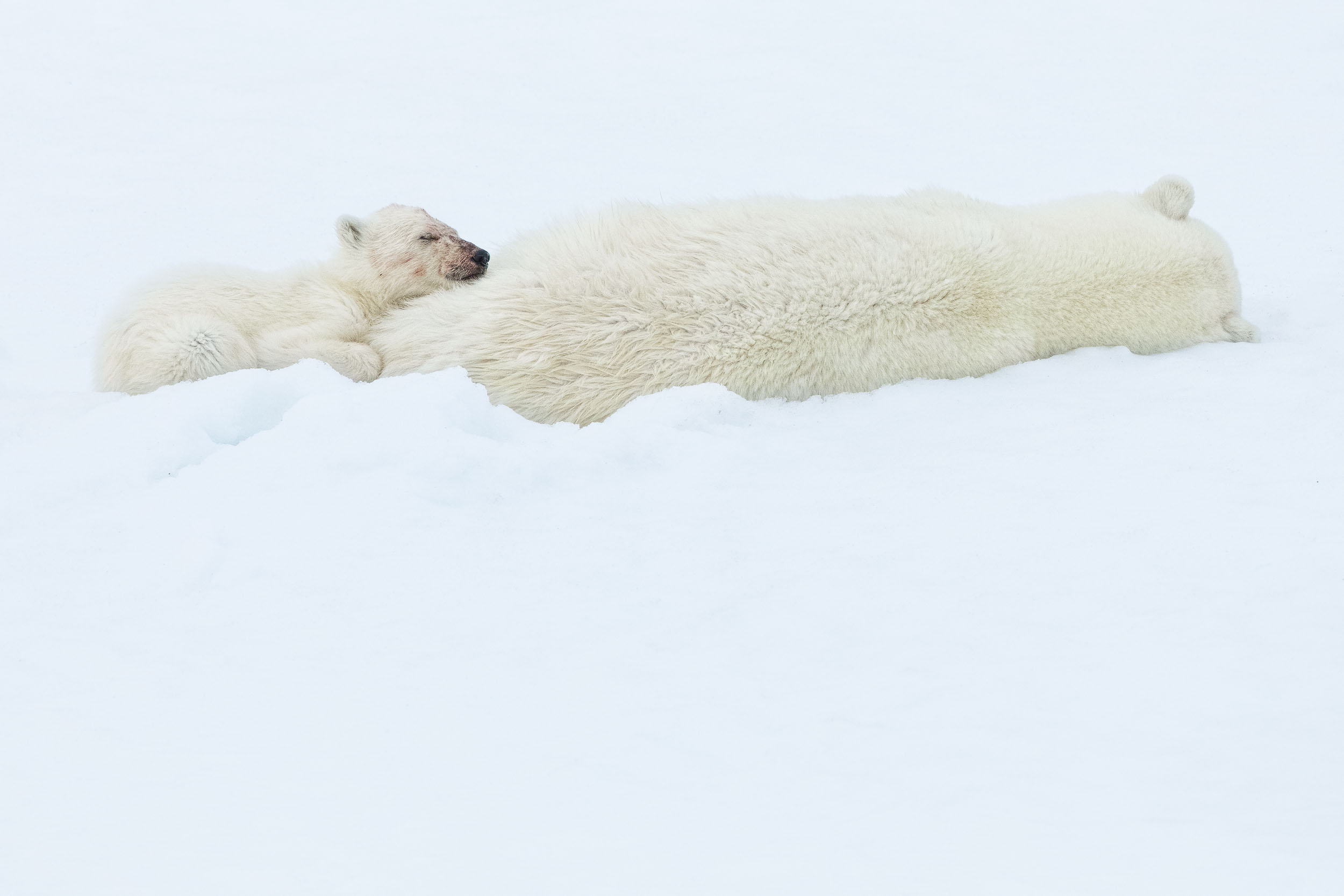 yorkshire_wildlife_photographer-332.jpg