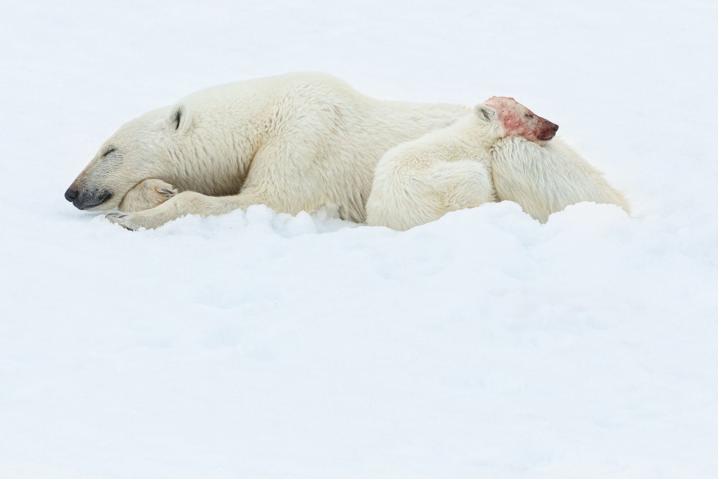 Svalbard-39.jpg