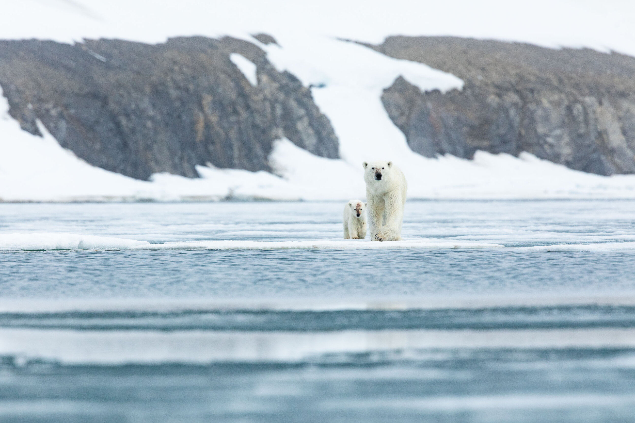 Svalbard-59.jpg