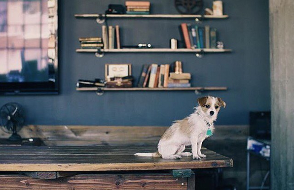 Taken at Jen and Annie's favorite work spot, The Boxcar.