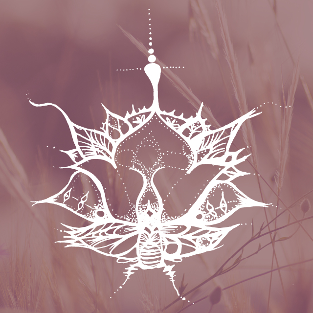 scarab lotus .jpeg
