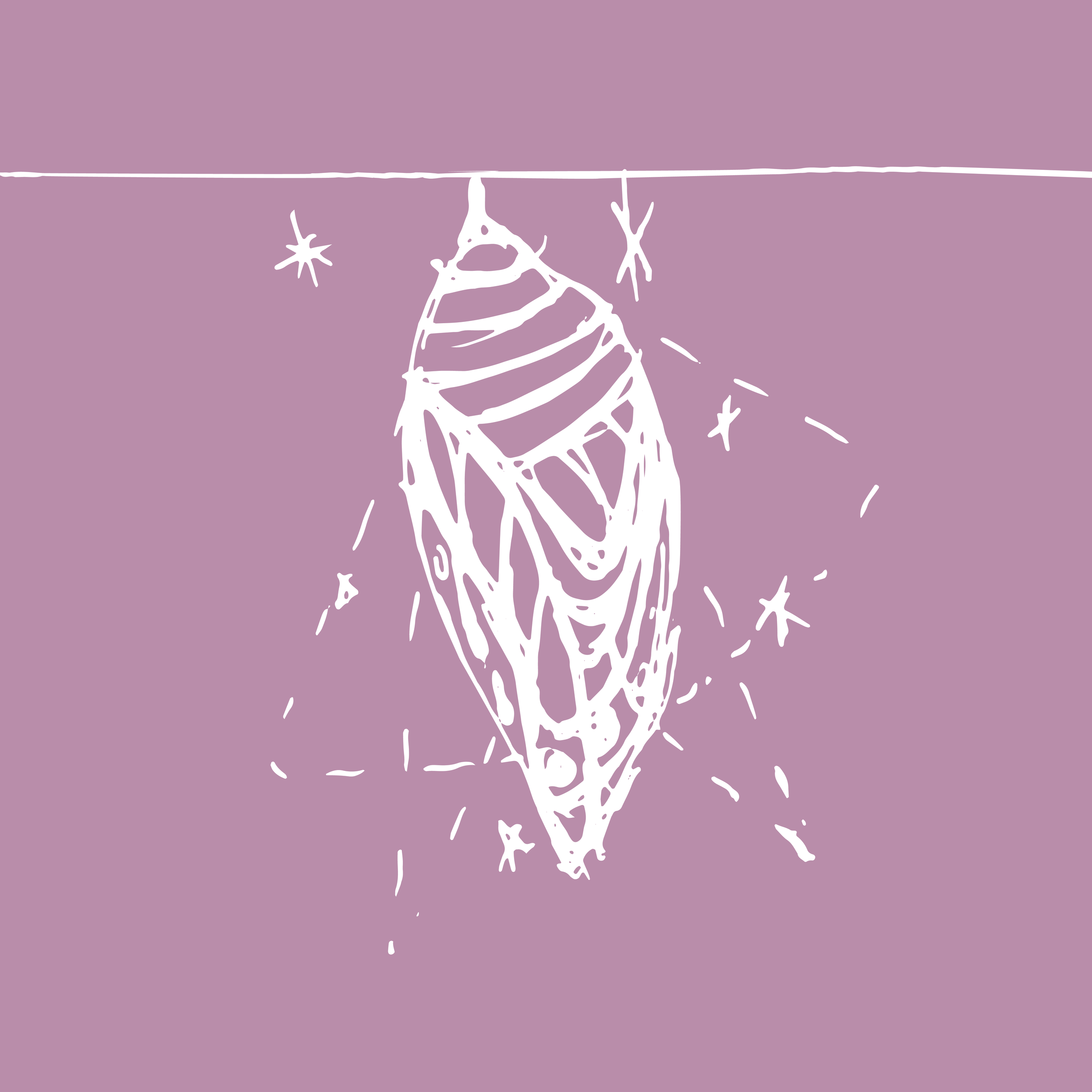 internal rewiring.png