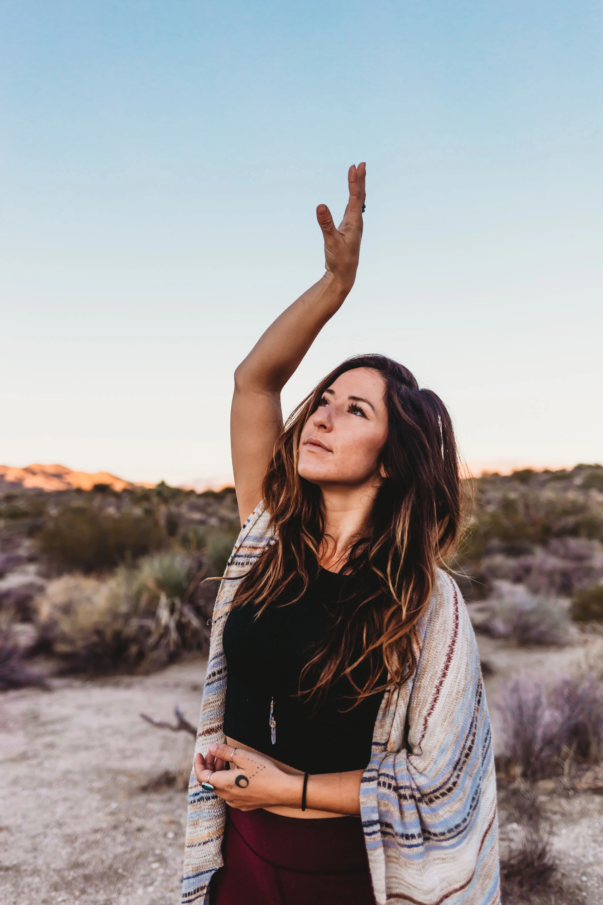 Flux-JoshuaTree-2059.jpg