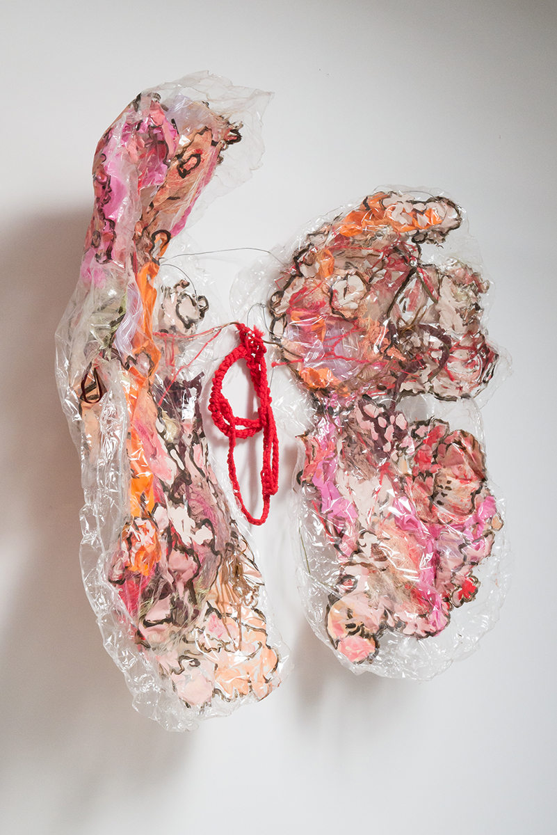 Sherwood-Shanks-Wearable-Art-Meat-Market-Collection-Wings.jpg