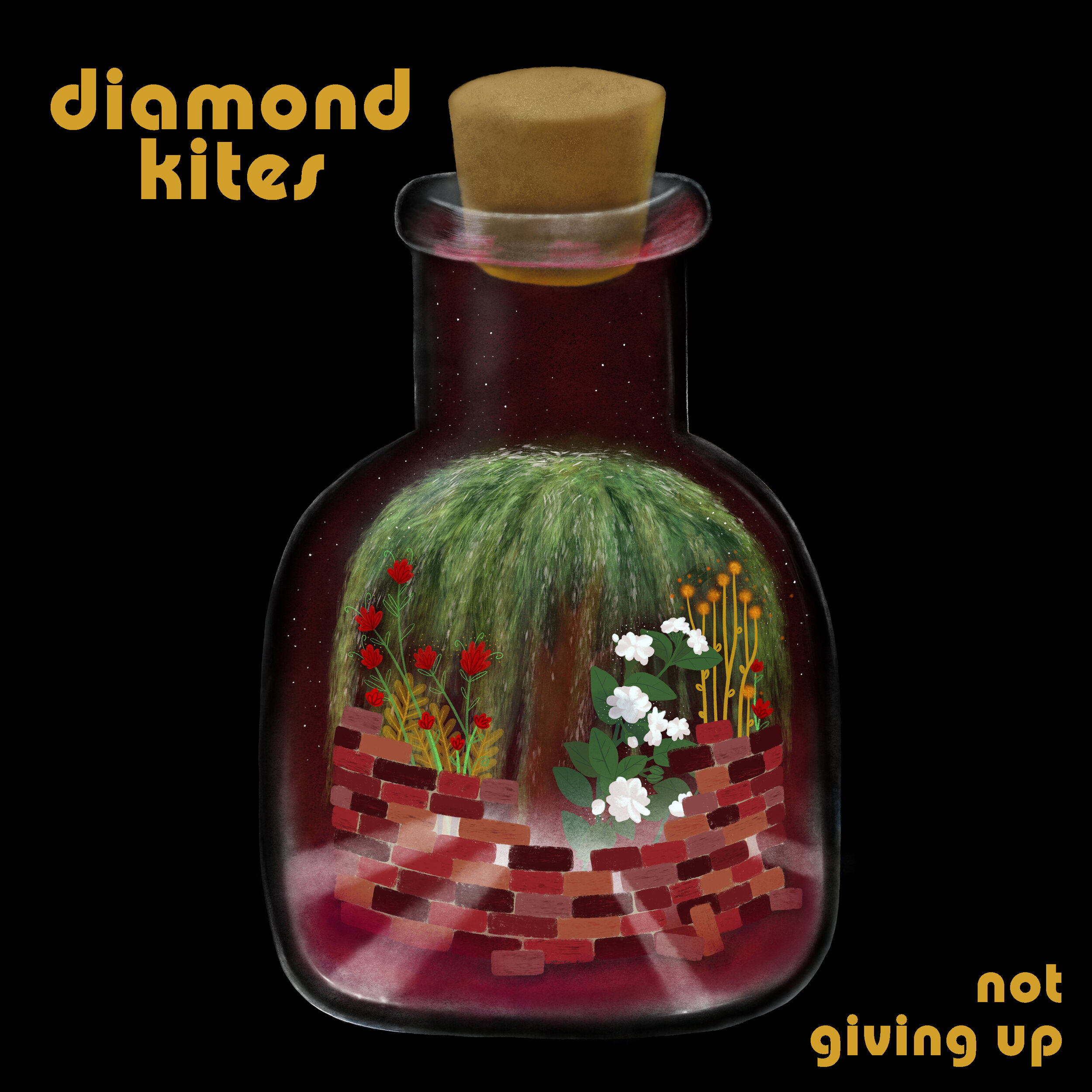 Diamond Kites "Not Giving Up" Single (2019)