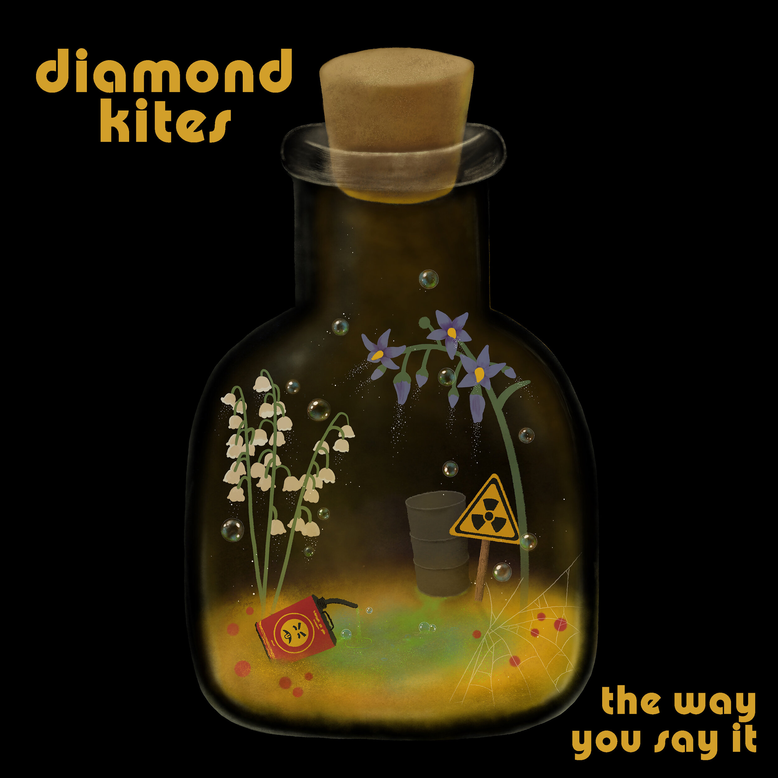 Diamond Kites "The Way You Say It" Single (2019)