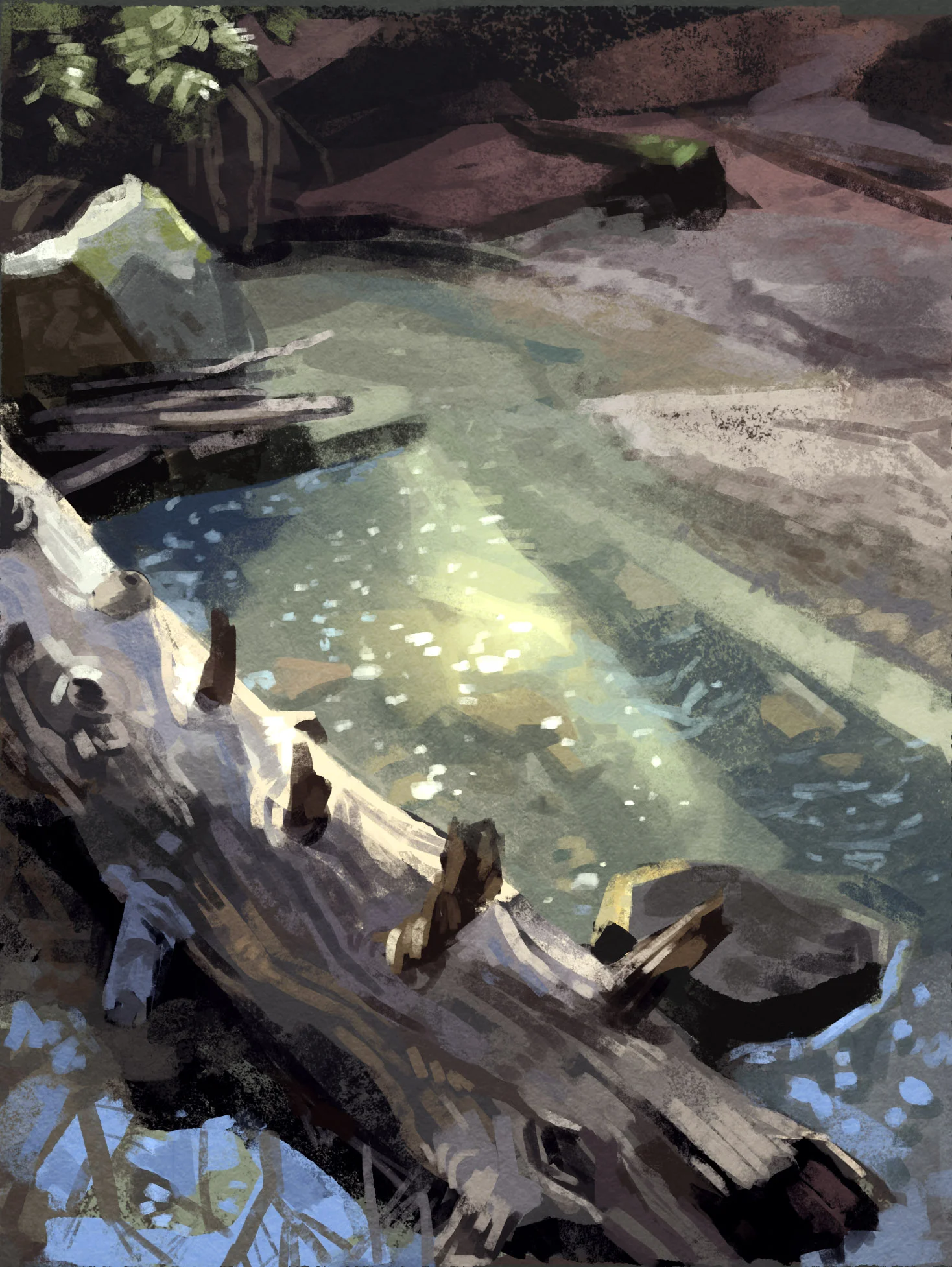 ForestStudy1.jpg