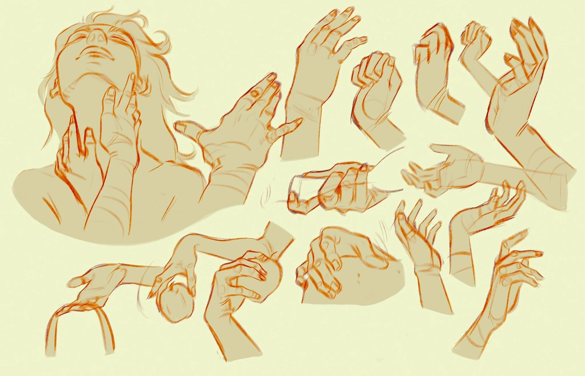 Back Of Fist Reference