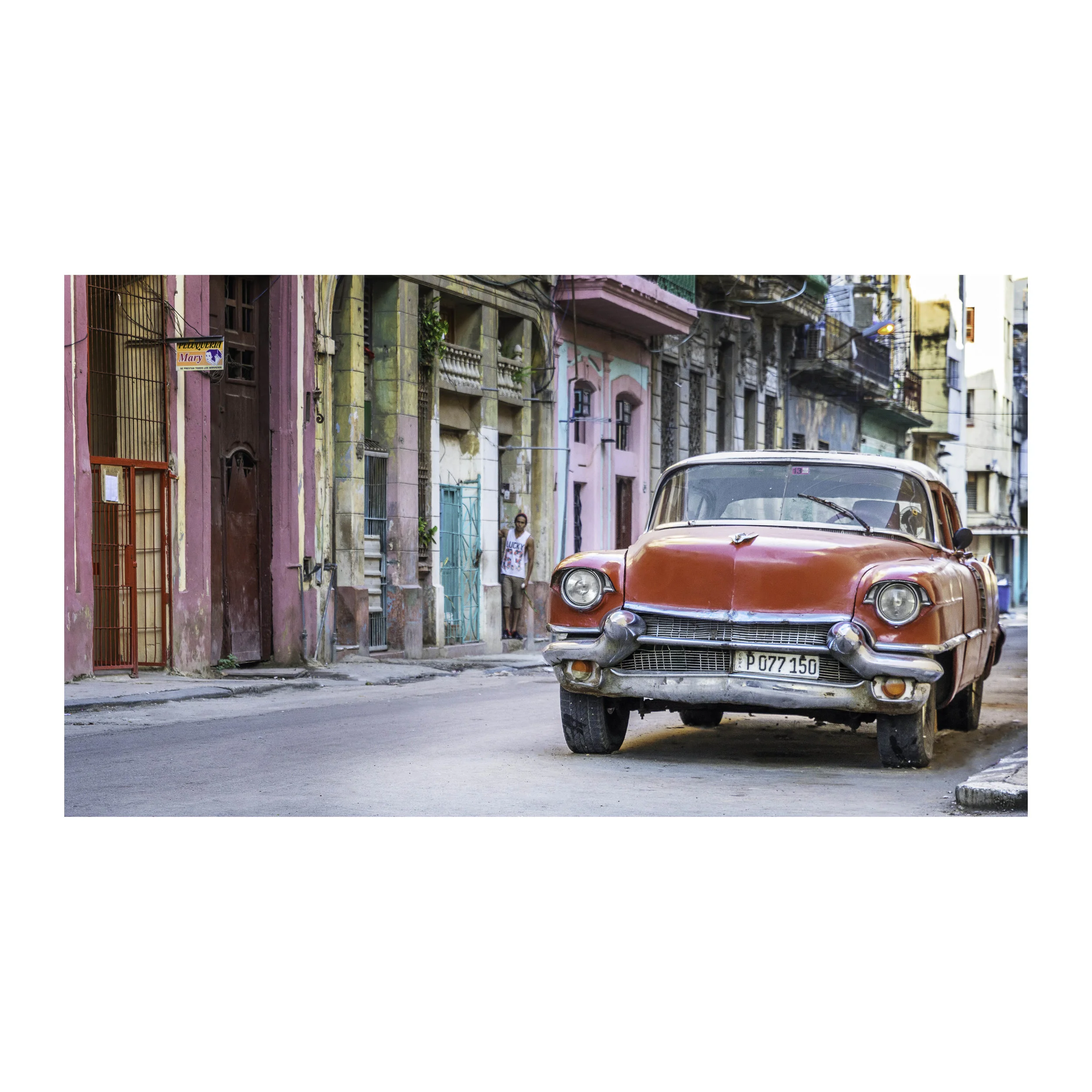 Little Red Rooster.jpg