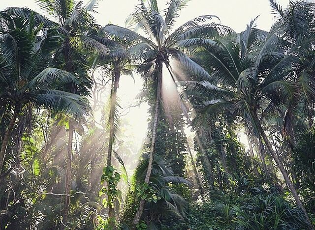 Jungling again 🤹🌴 .
.
.
#nakedhawaii #moodygrams #hnnsunrise #southwestairlines