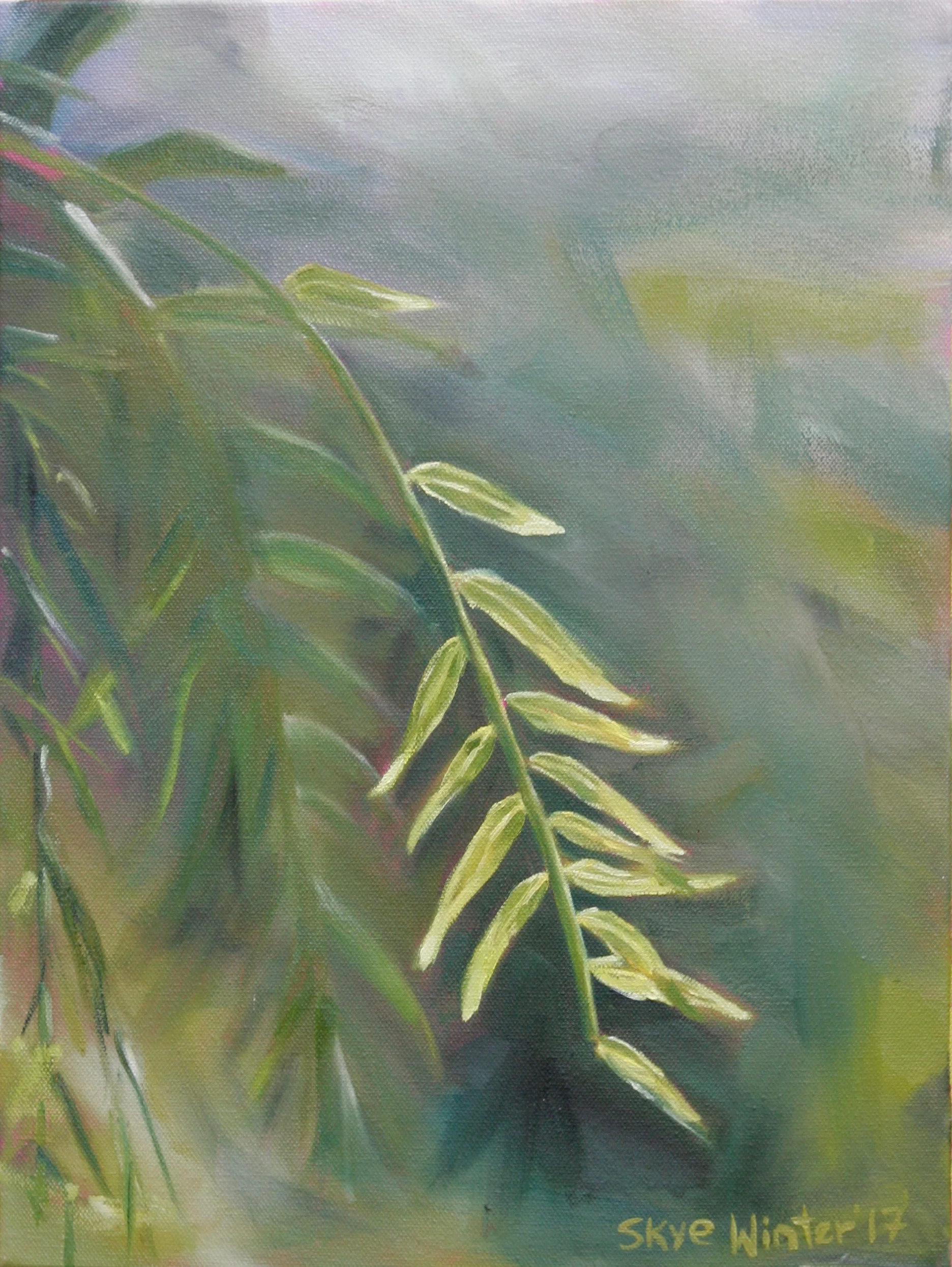 Pepper Tree