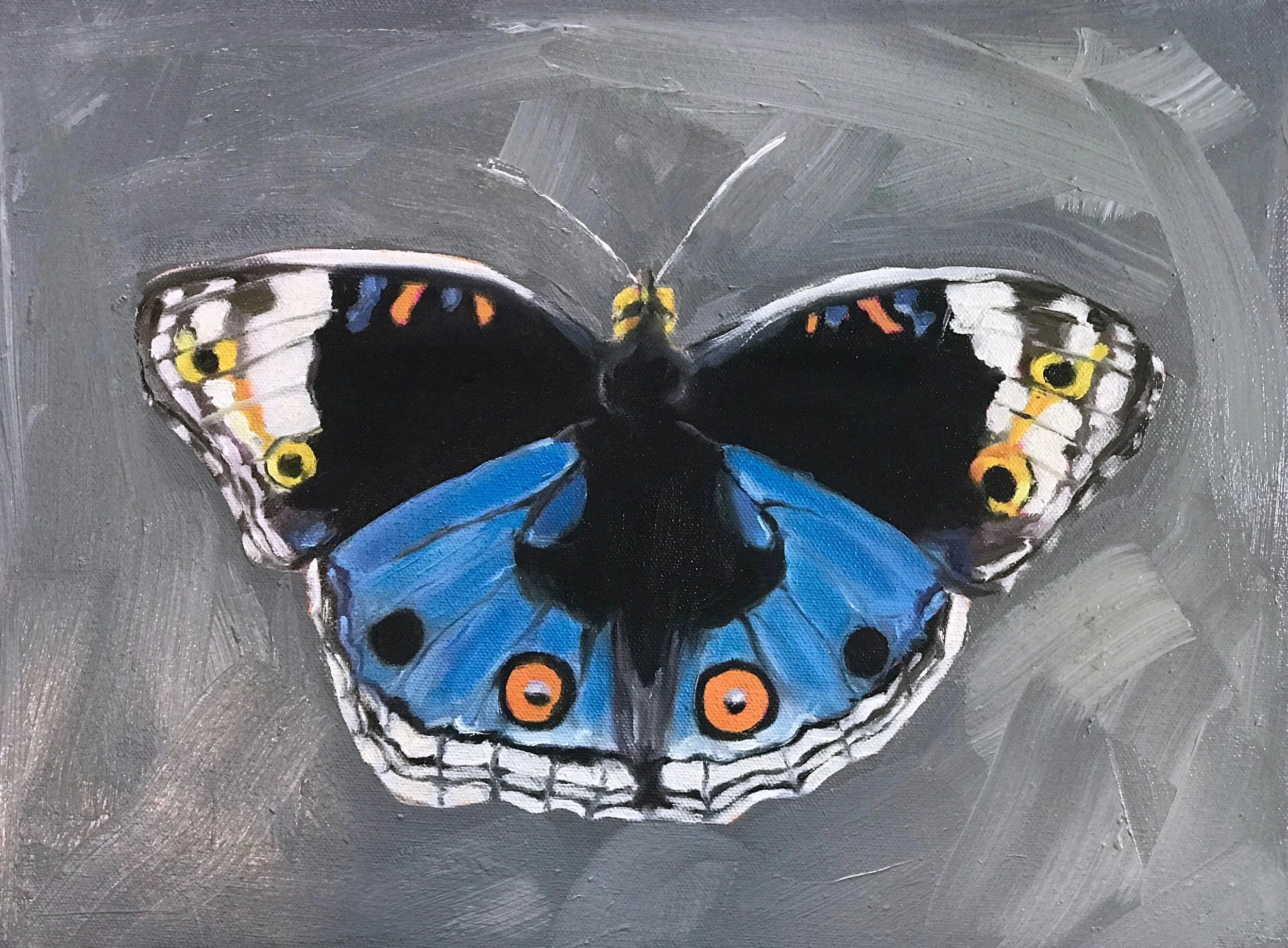 Junonia Orithya