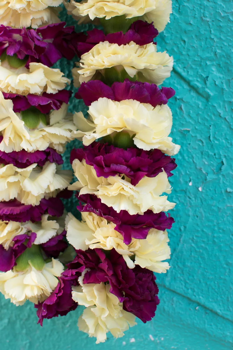 ALS_mintwall_leis_web-28.jpg