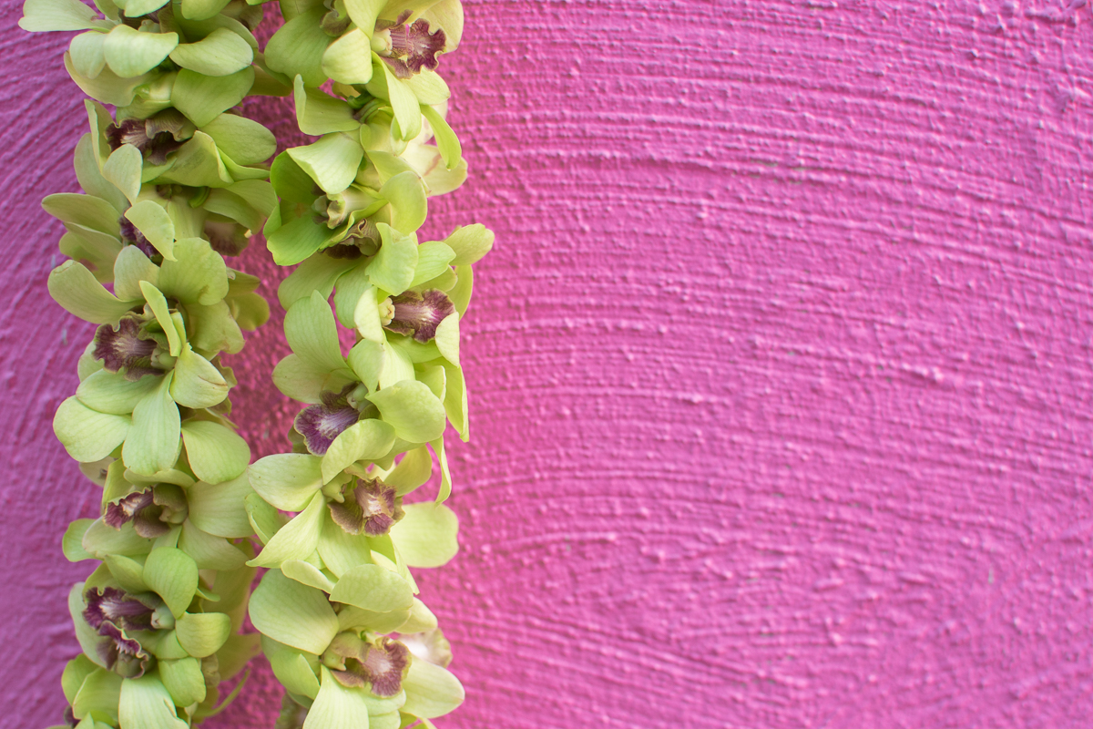 ALS_pinkwall_leis_web-9.jpg