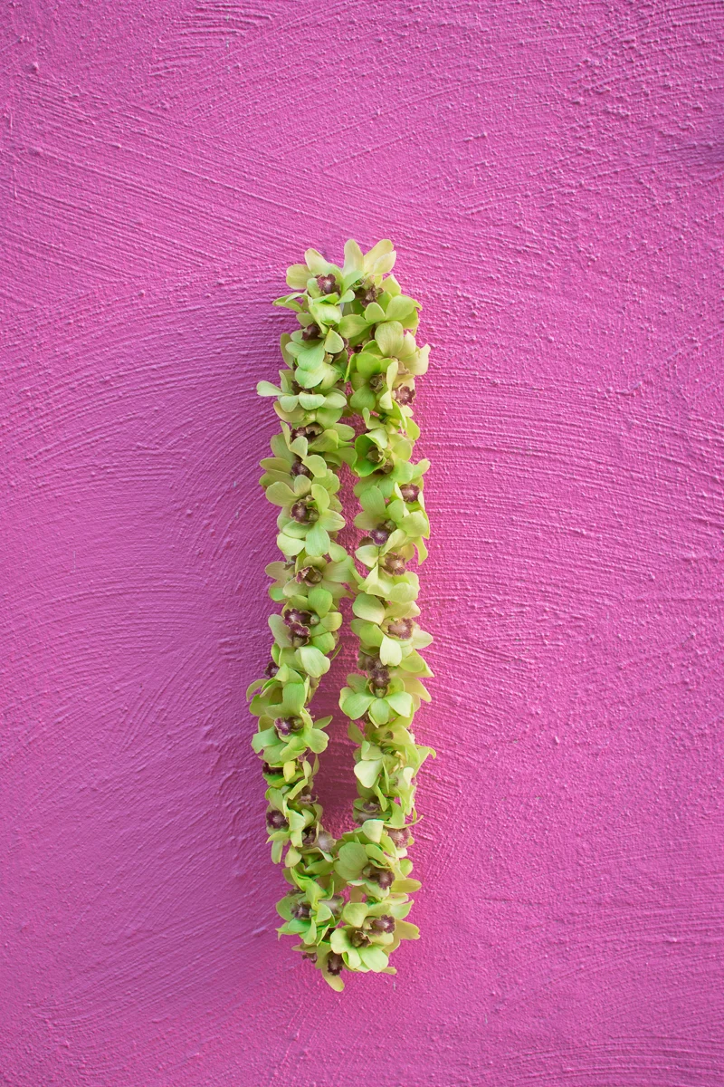 ALS_pinkwall_leis_web-8.jpg