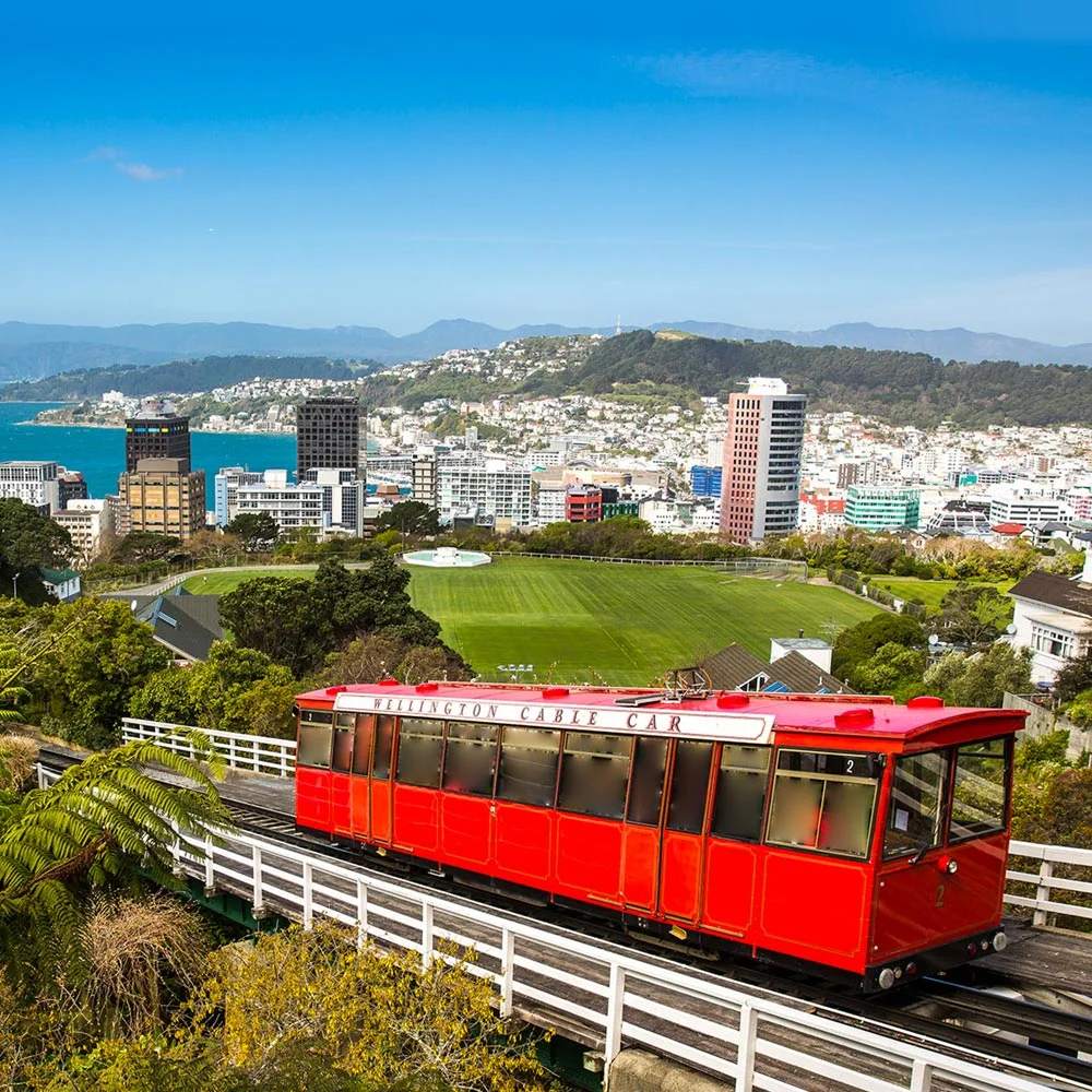 wellington.jpg