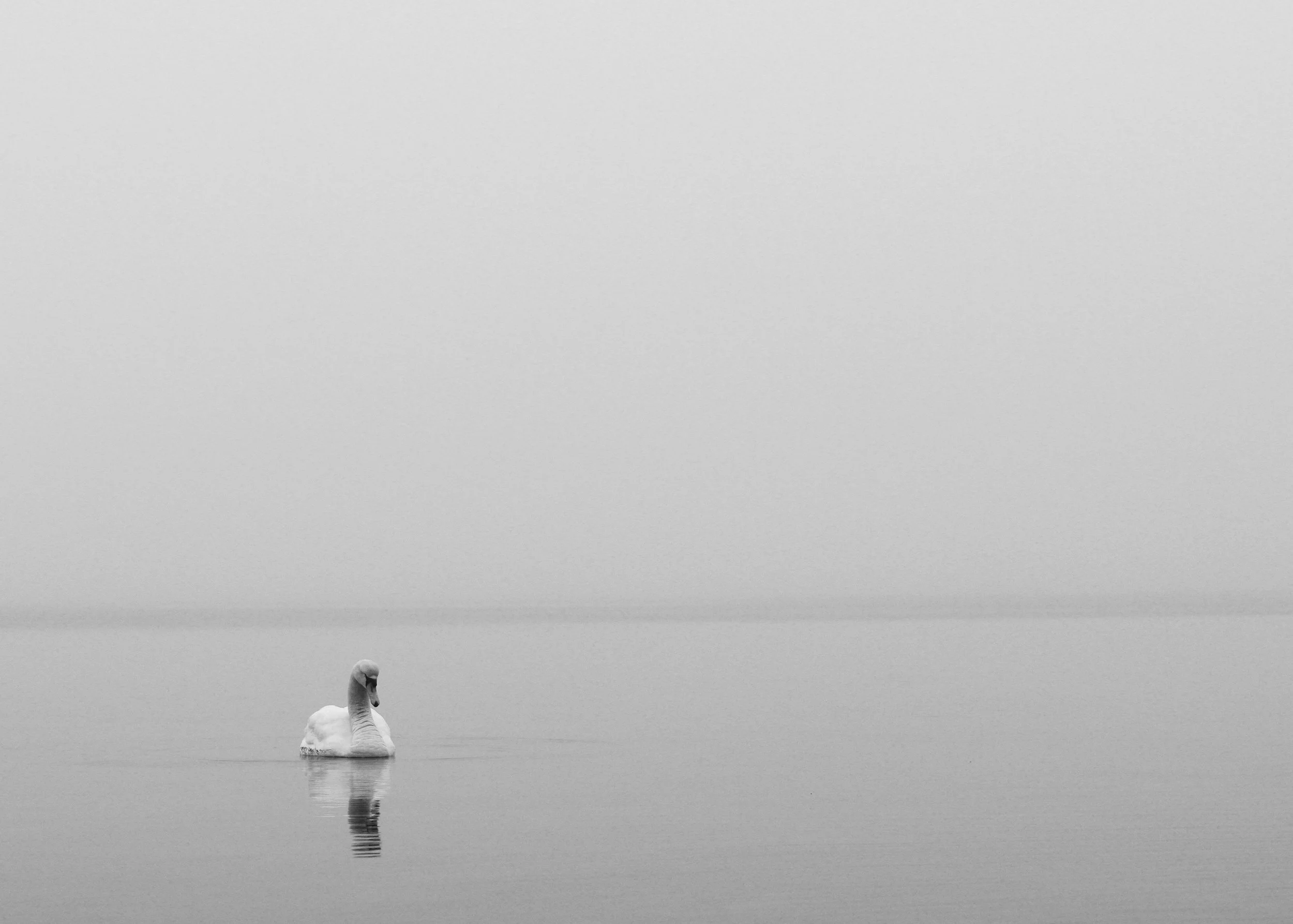 The quiet moment before the fog lifts