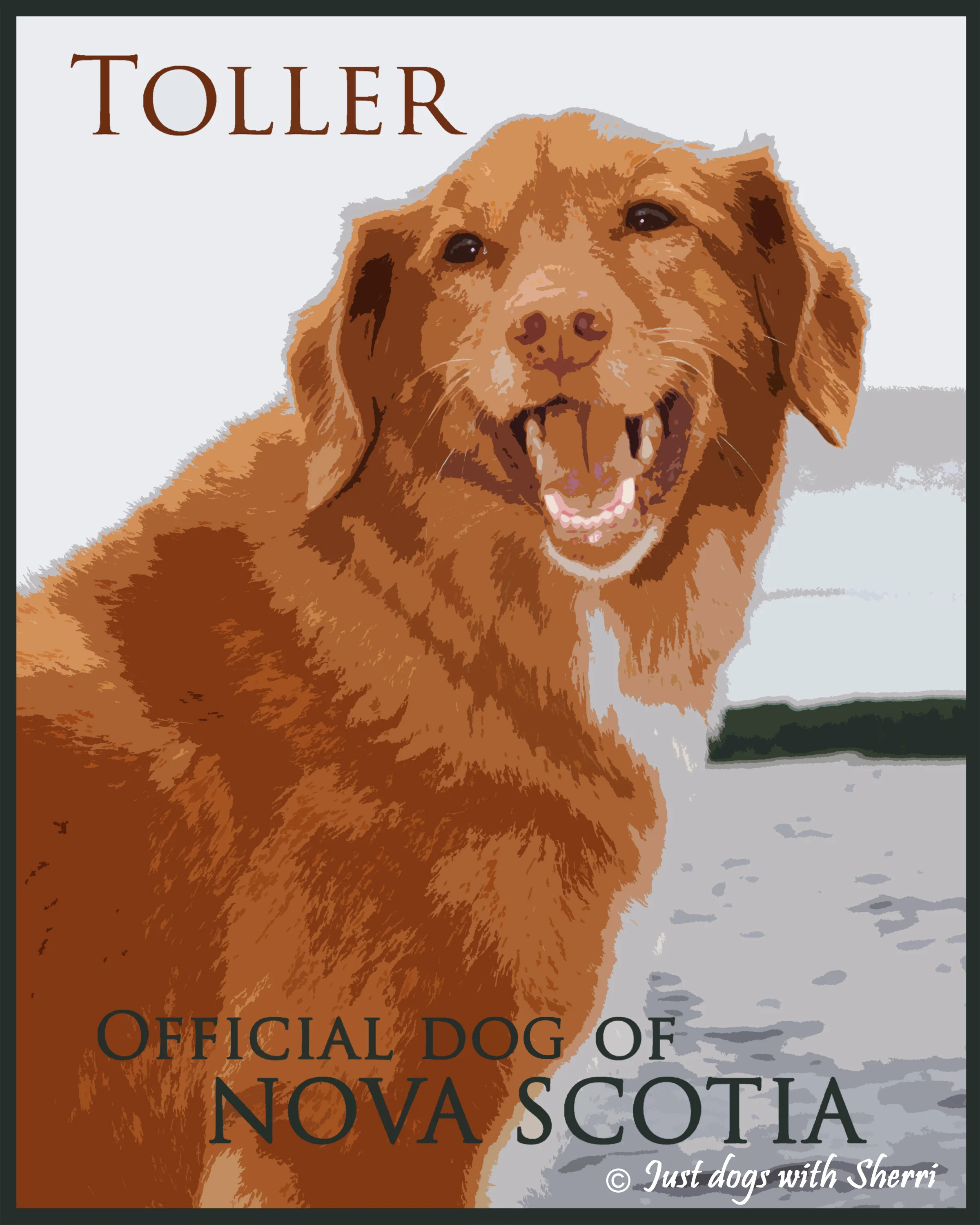 tOLLER altered.jpg