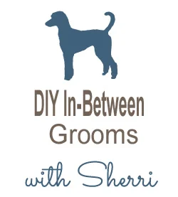 inbetween grooms.jpg