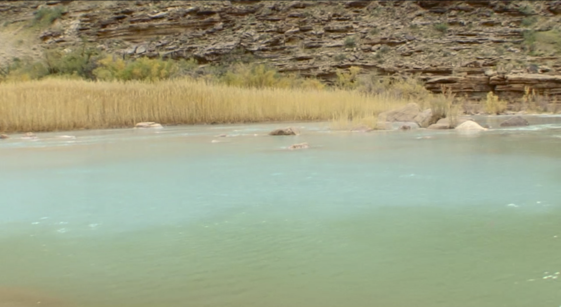 Open letter to the council of the Navajo Nation and a call to sign this petition before today's deadline to #SaveTheConfluence