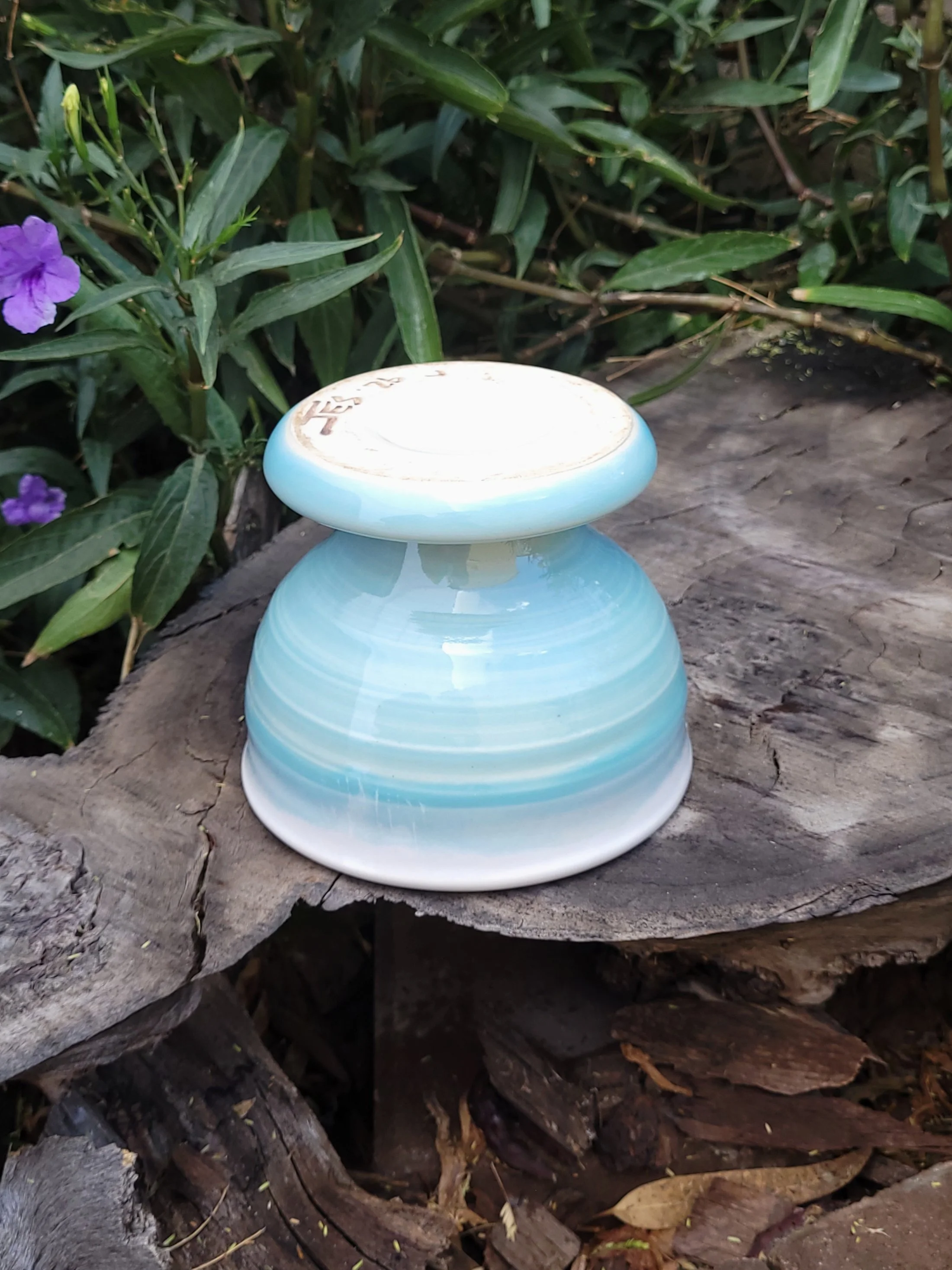 RobinxEggTexturedPlanter10.jpg