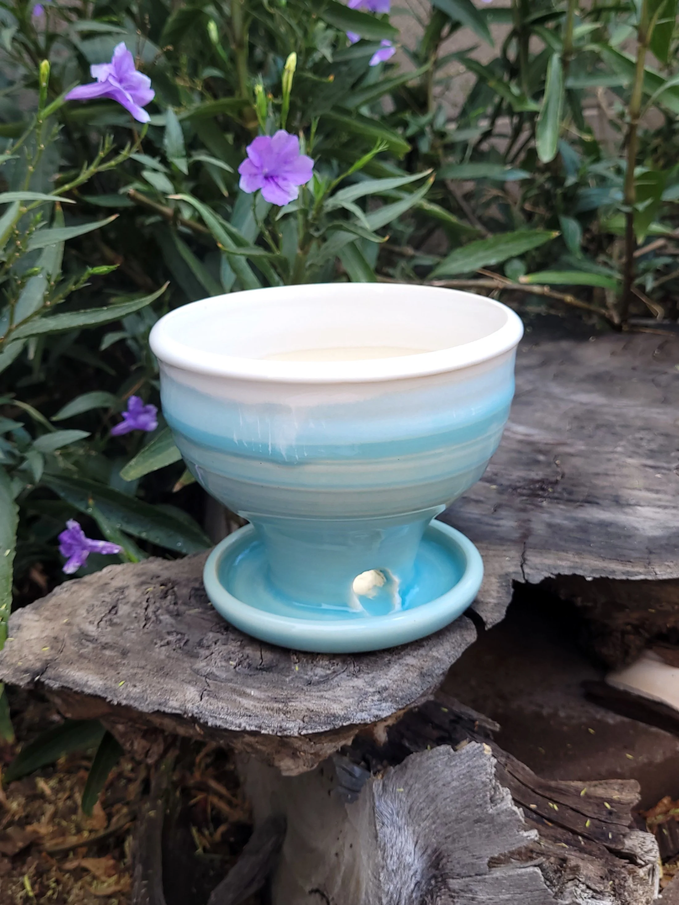 RobinxEggTexturedPlanter5.jpg