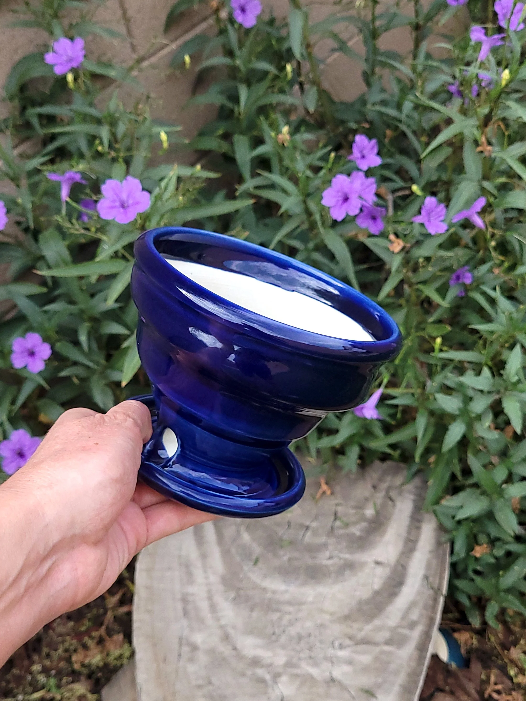 TrueBluePlanter9.jpg