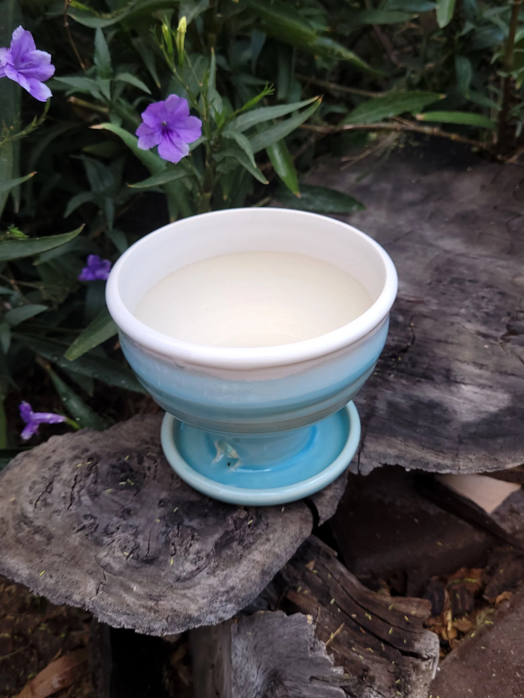 RobinxEggTexturedPlanter7.jpg