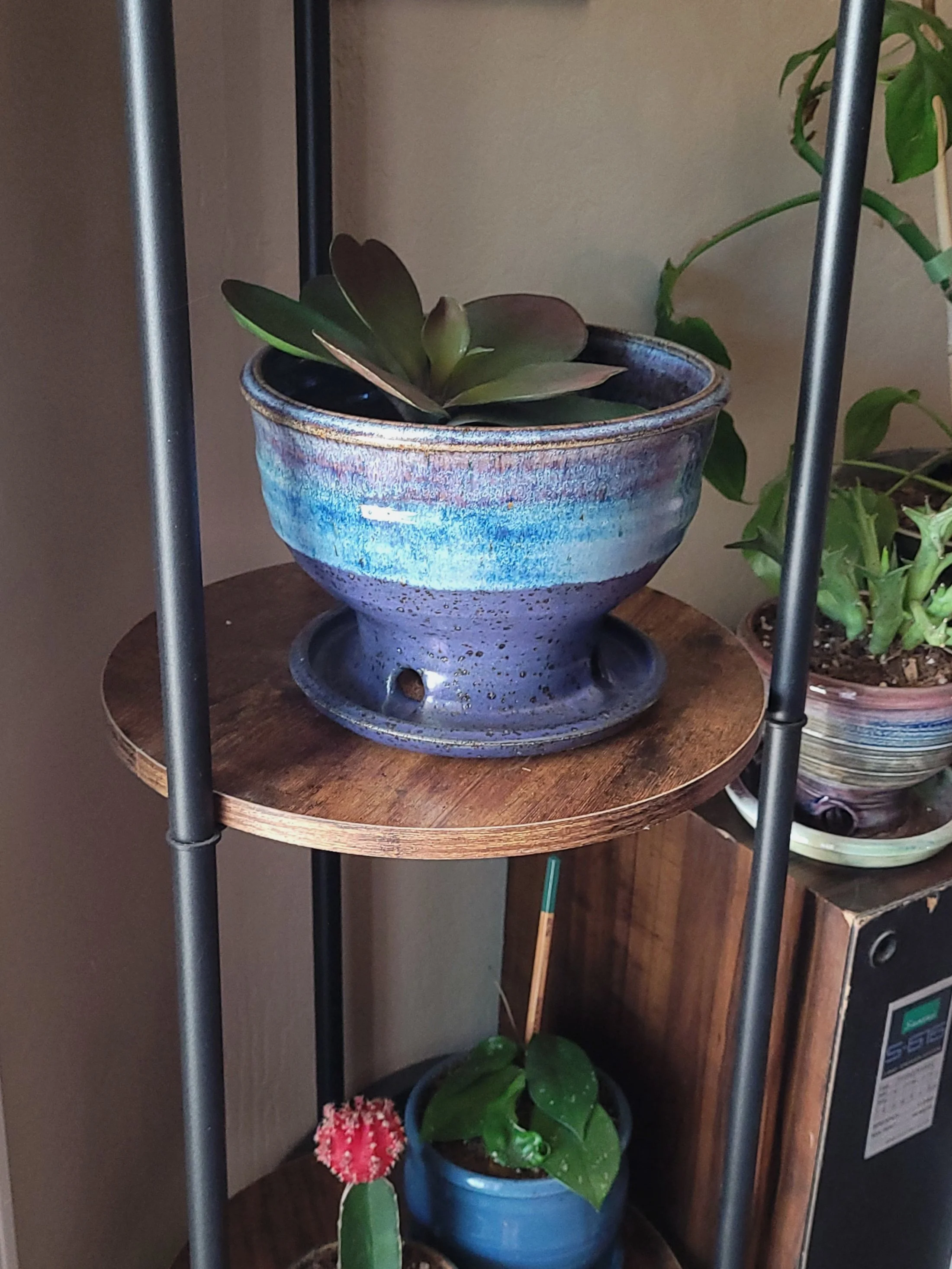 EmPurpleRutileLgPlanter10.jpg