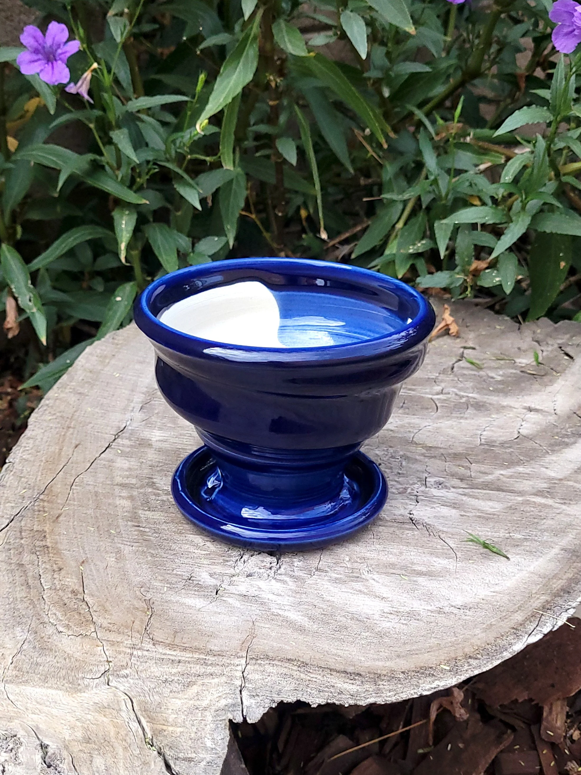 TrueBluePlanter6.jpg
