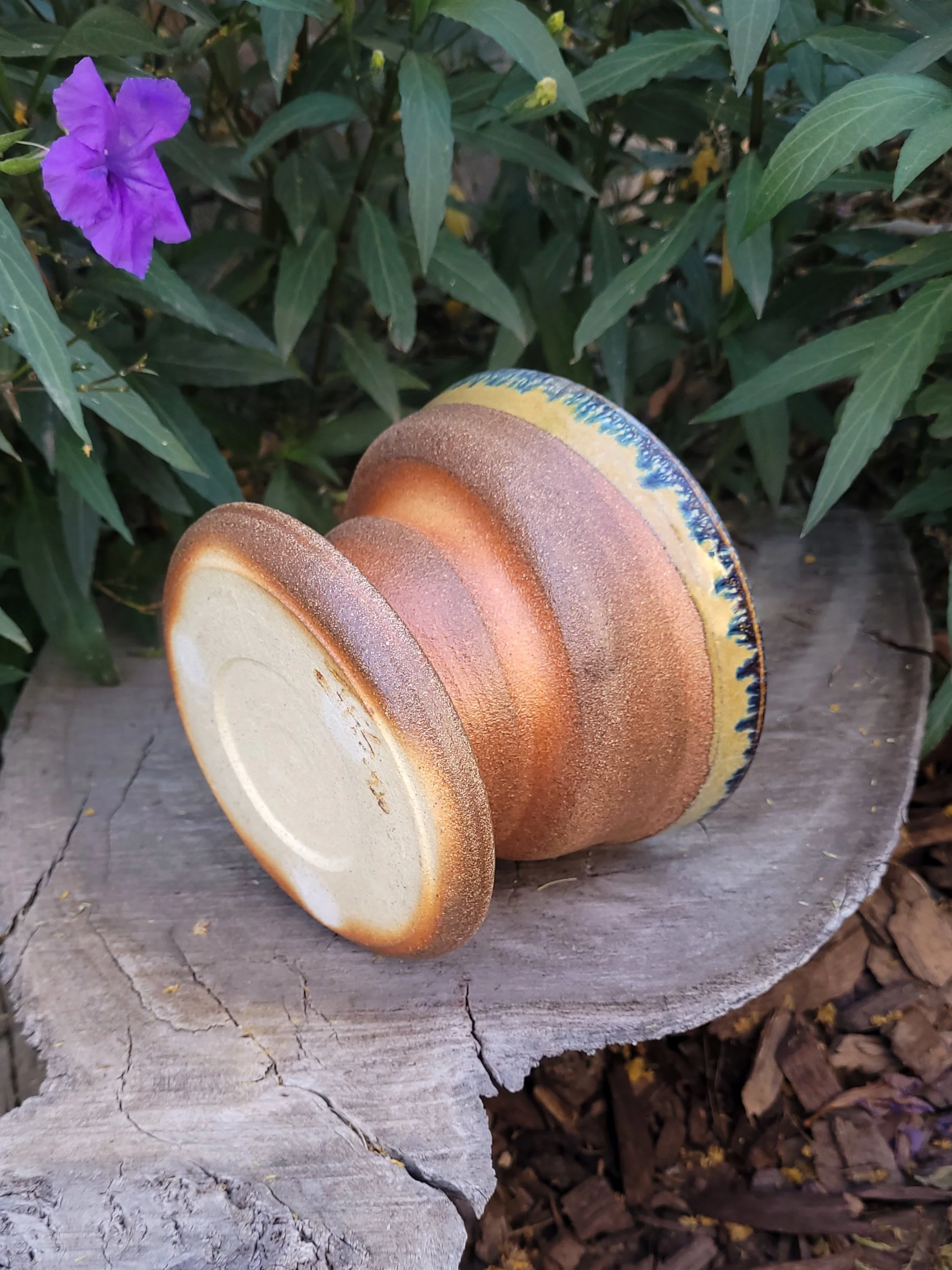 WFGoldspotTnmokuSwirlPlanter7.jpg
