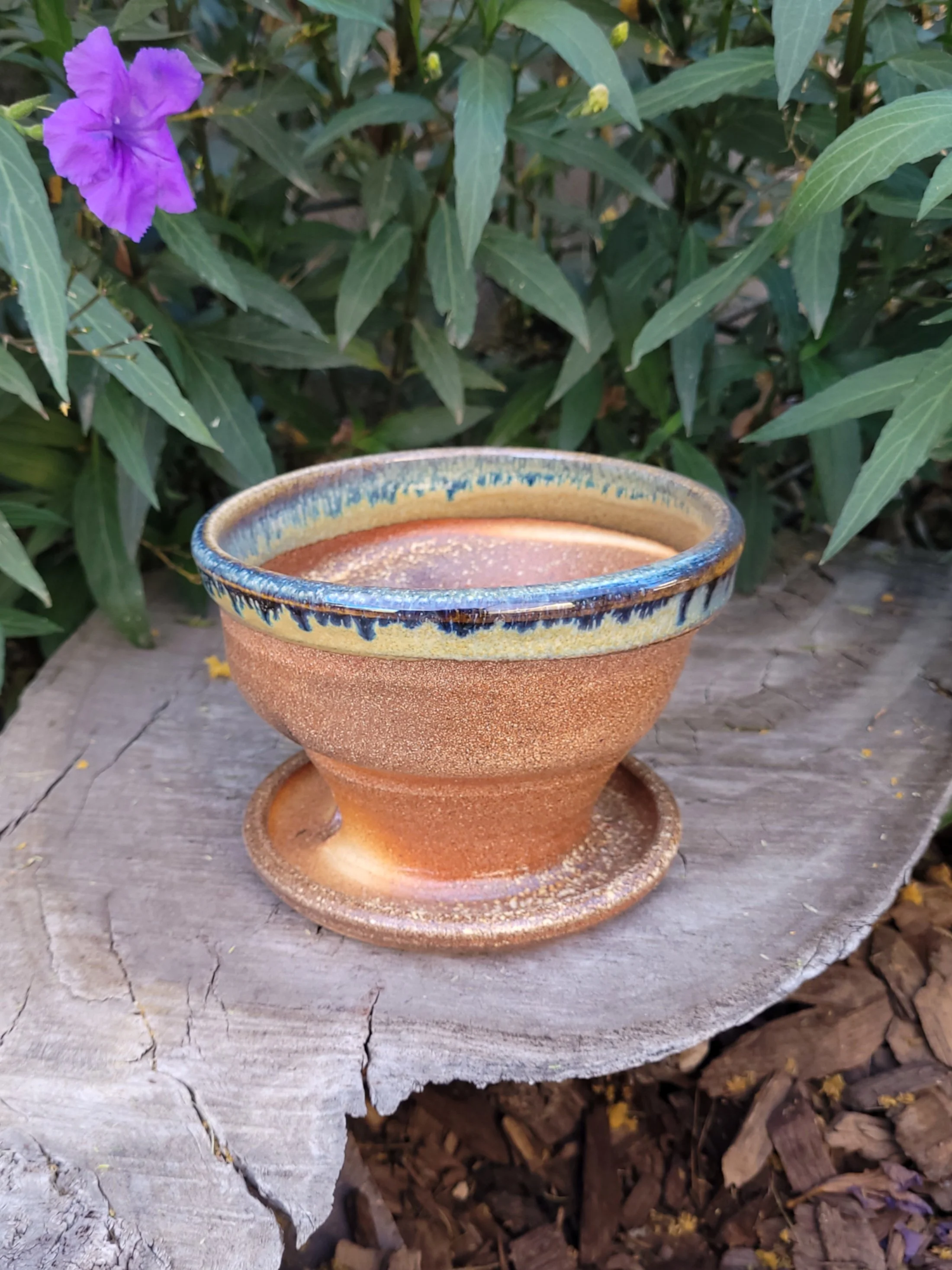 WFGoldspotTnmokuSwirlPlanter2.jpg