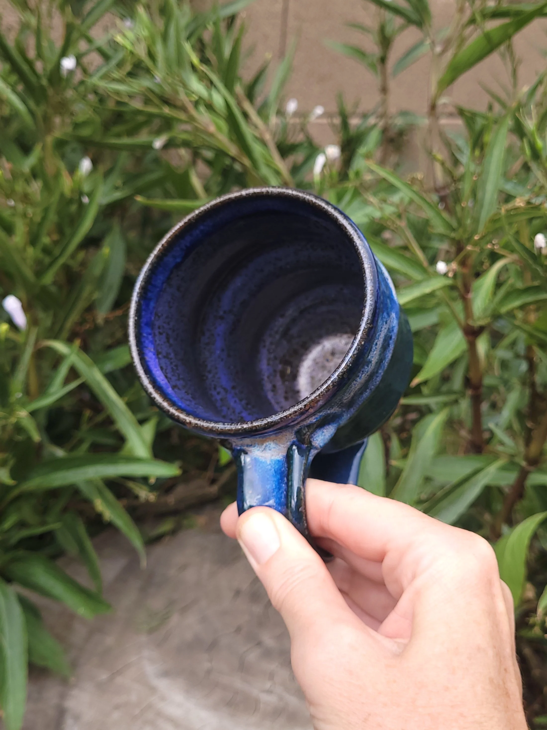 SpruceBlueMugs7.jpg