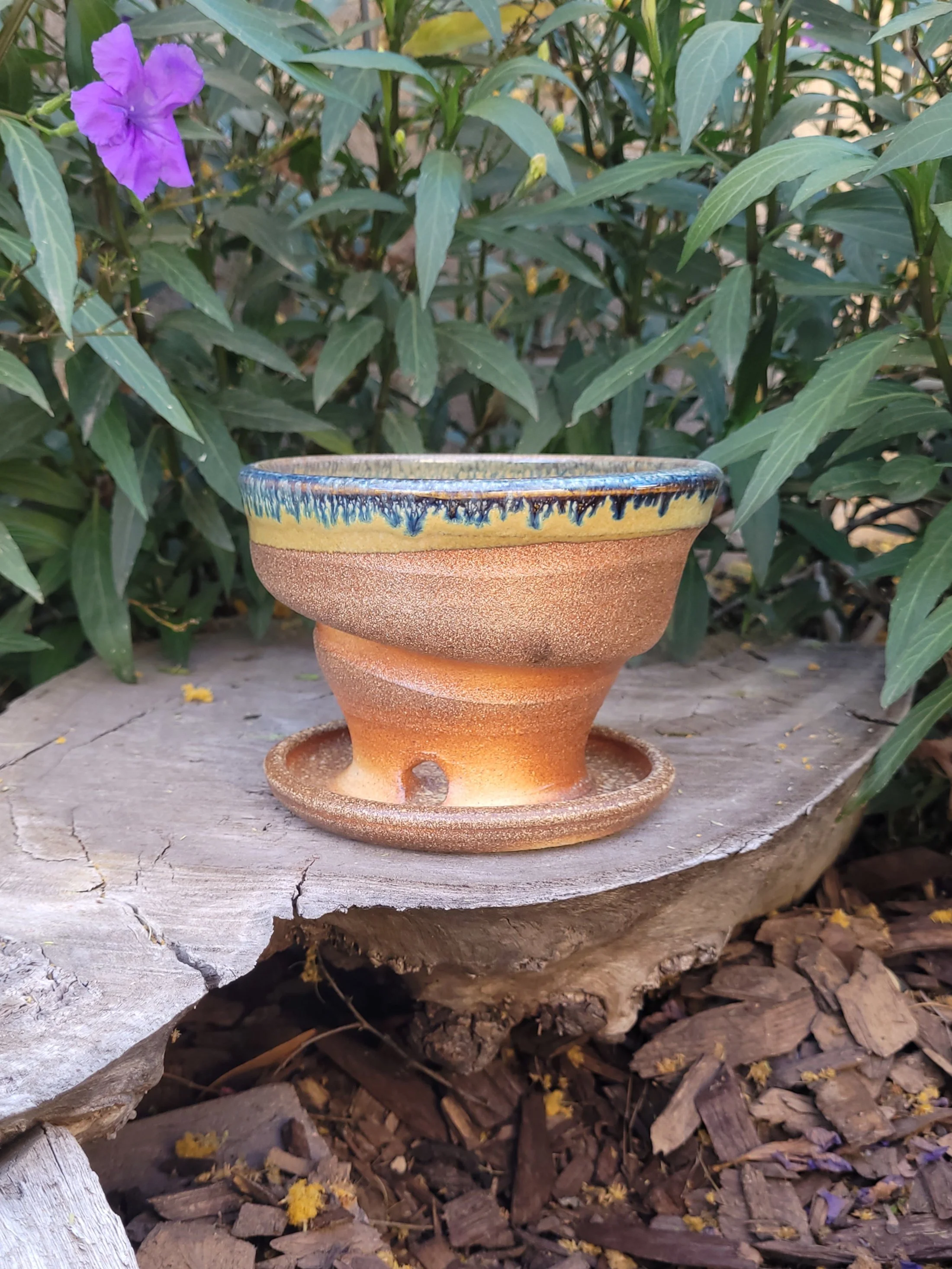 WFGoldspotTnmokuSwirlPlanter1.jpg