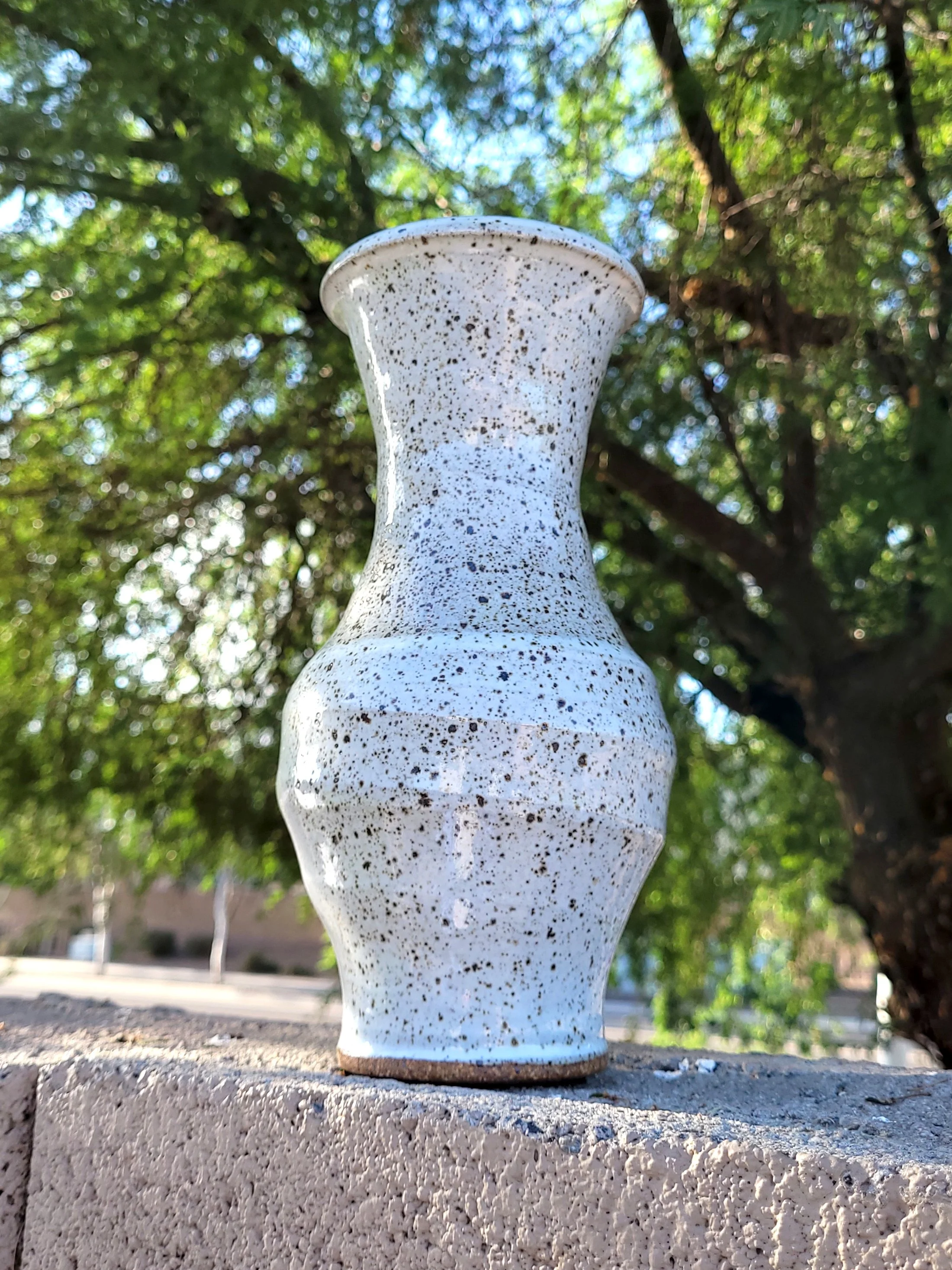 SpeckledWhiteVase13.jpg