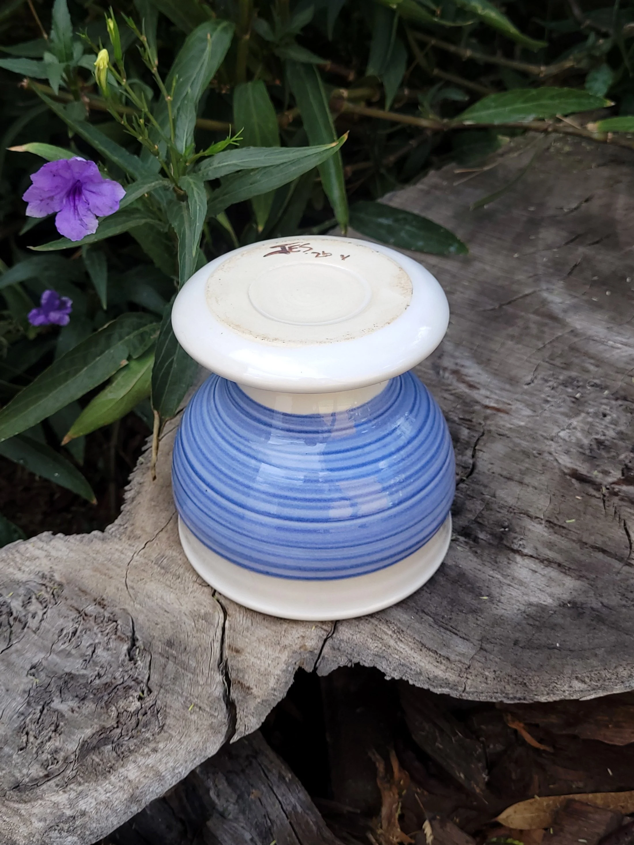 WhiteBlueSlipTexturedPlanter7.jpg